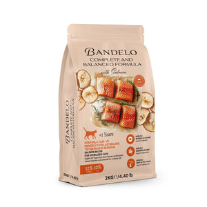 Bandelo Somonlu Kısırlaştırılmış Kuru Kedi Maması