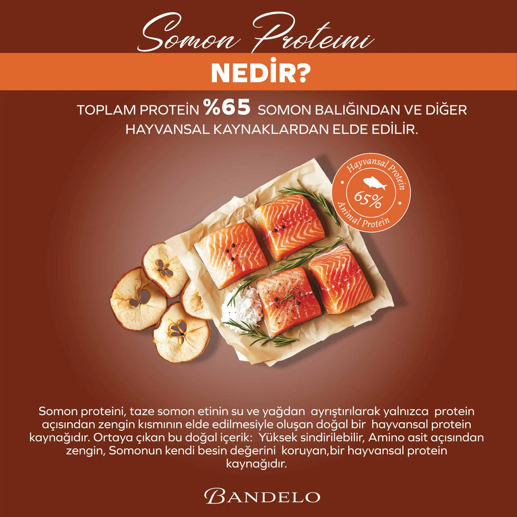 Bandelo Somonlu Kısırlaştırılmış Kuru Kedi Maması