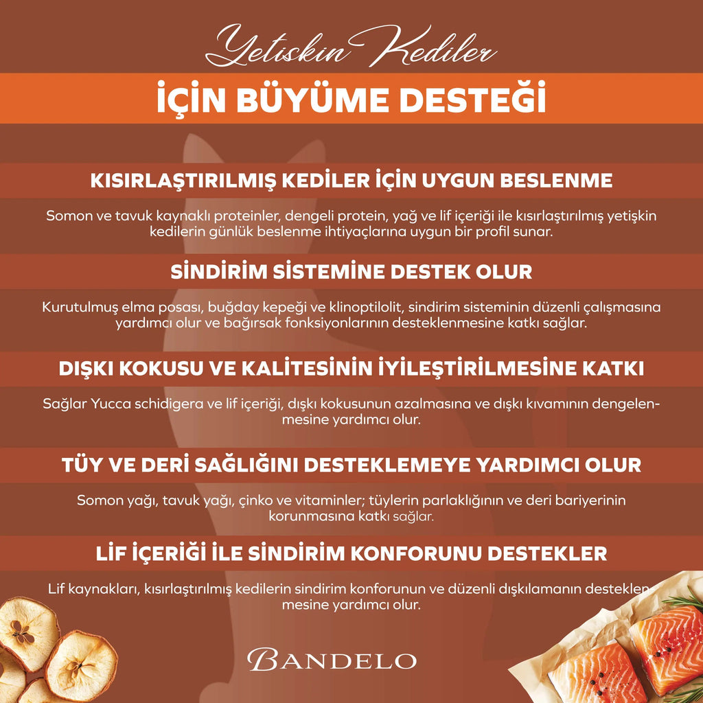 Bandelo Somonlu Kısırlaştırılmış Kuru Kedi Maması