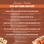 Bandelo Somonlu Kısırlaştırılmış Kuru Kedi Maması