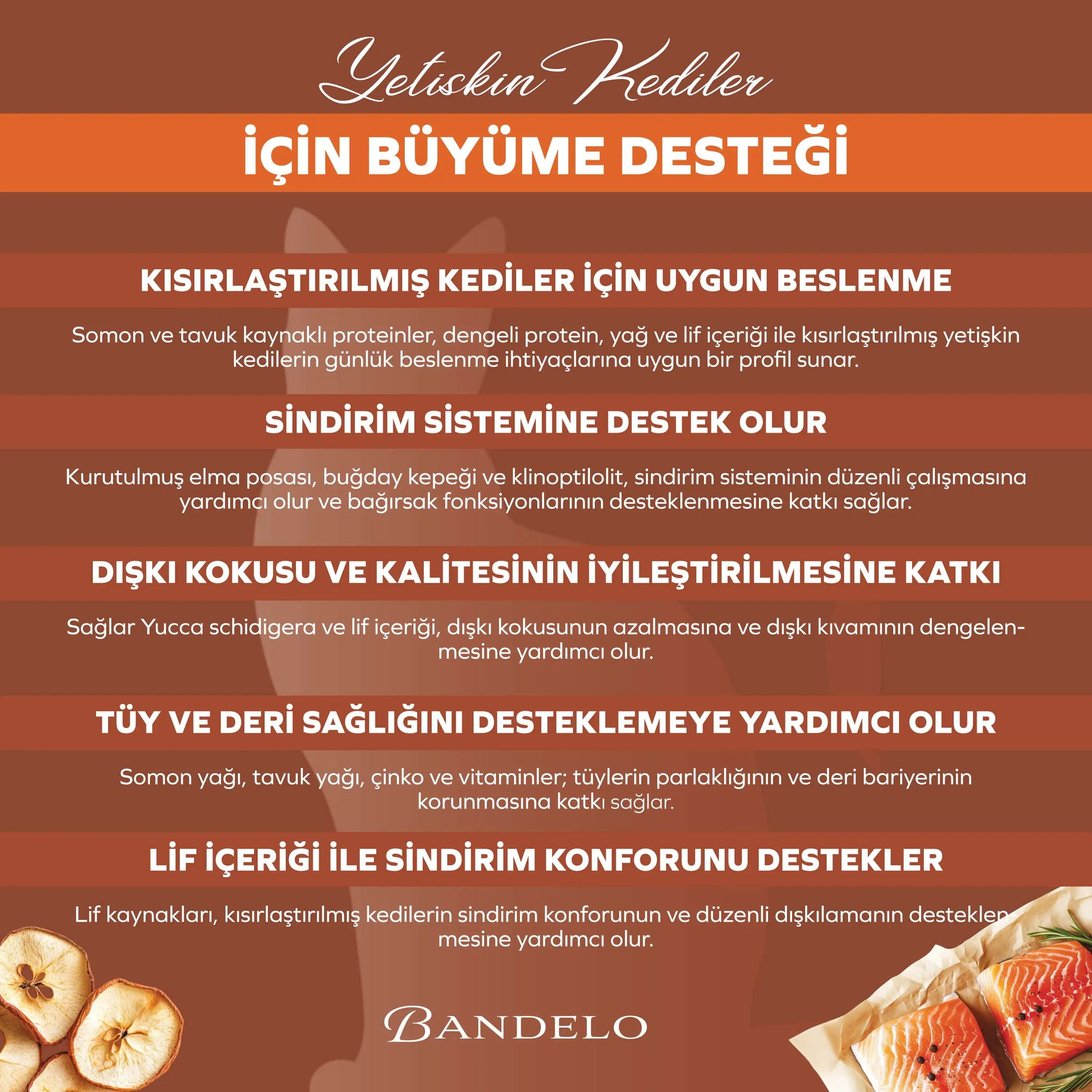 Bandelo Somonlu Kısırlaştırılmış Kuru Kedi Maması