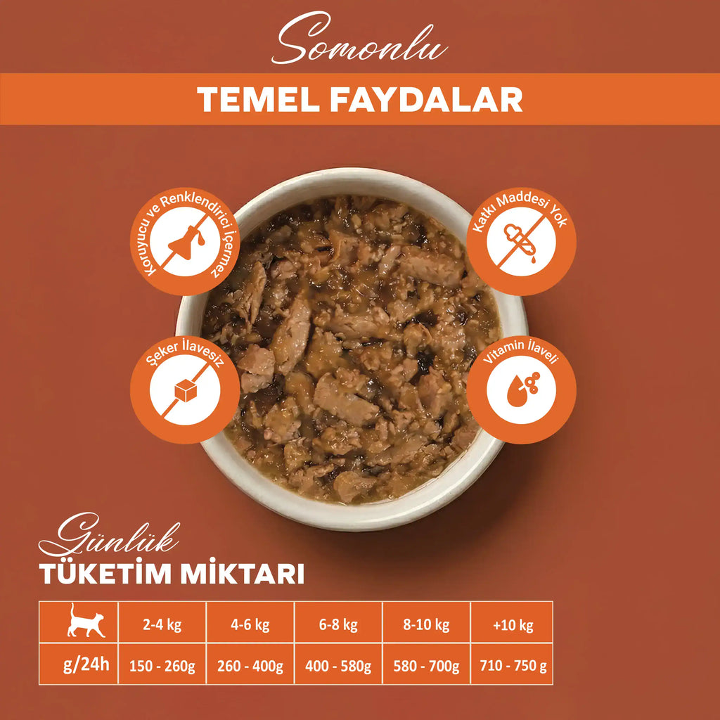 Bandelo Somonlu Kısırlaştırılmış Kedi Pouch 85 g