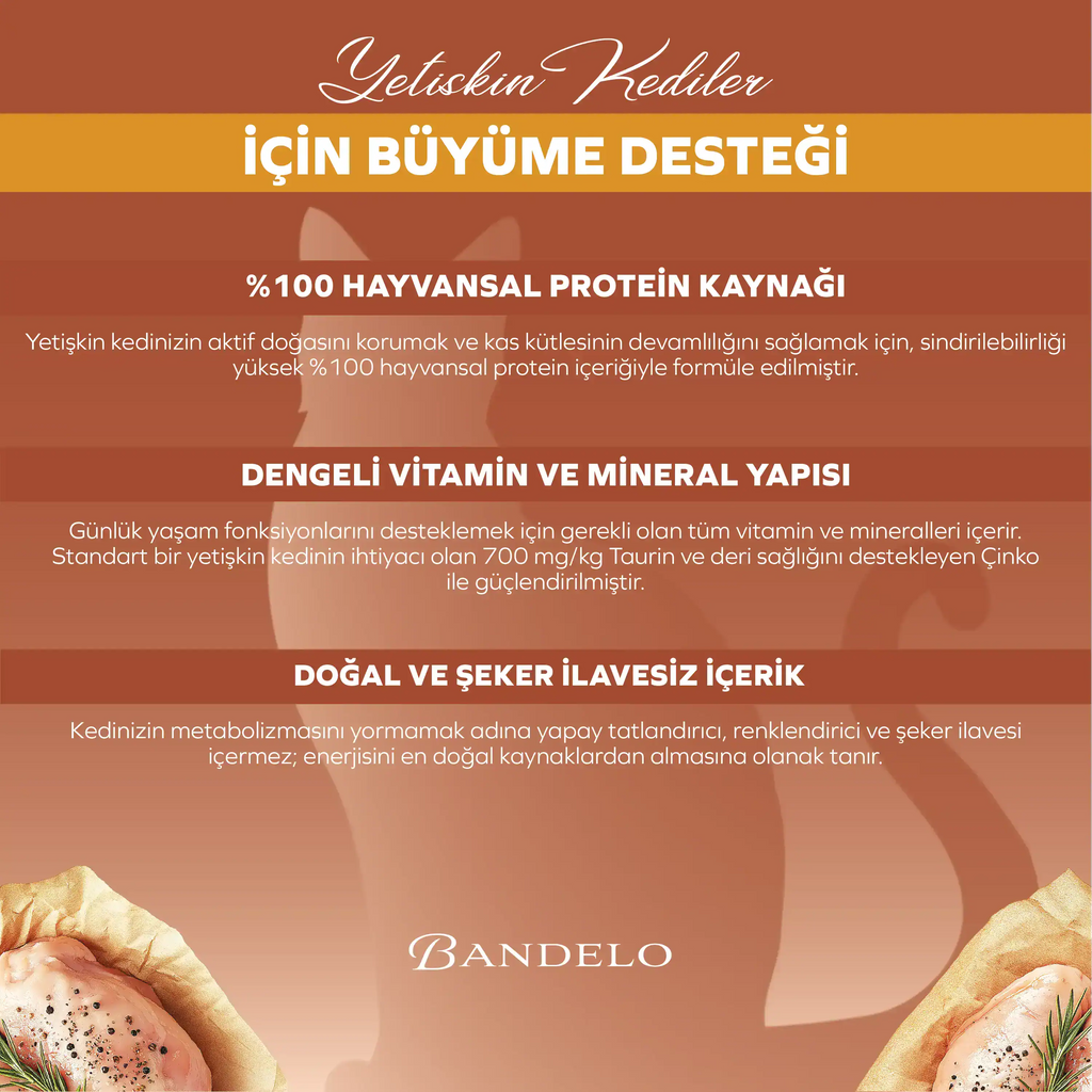 Bandelo Tavuklu Jöle Yetişkin Kedi Pouch 85 g