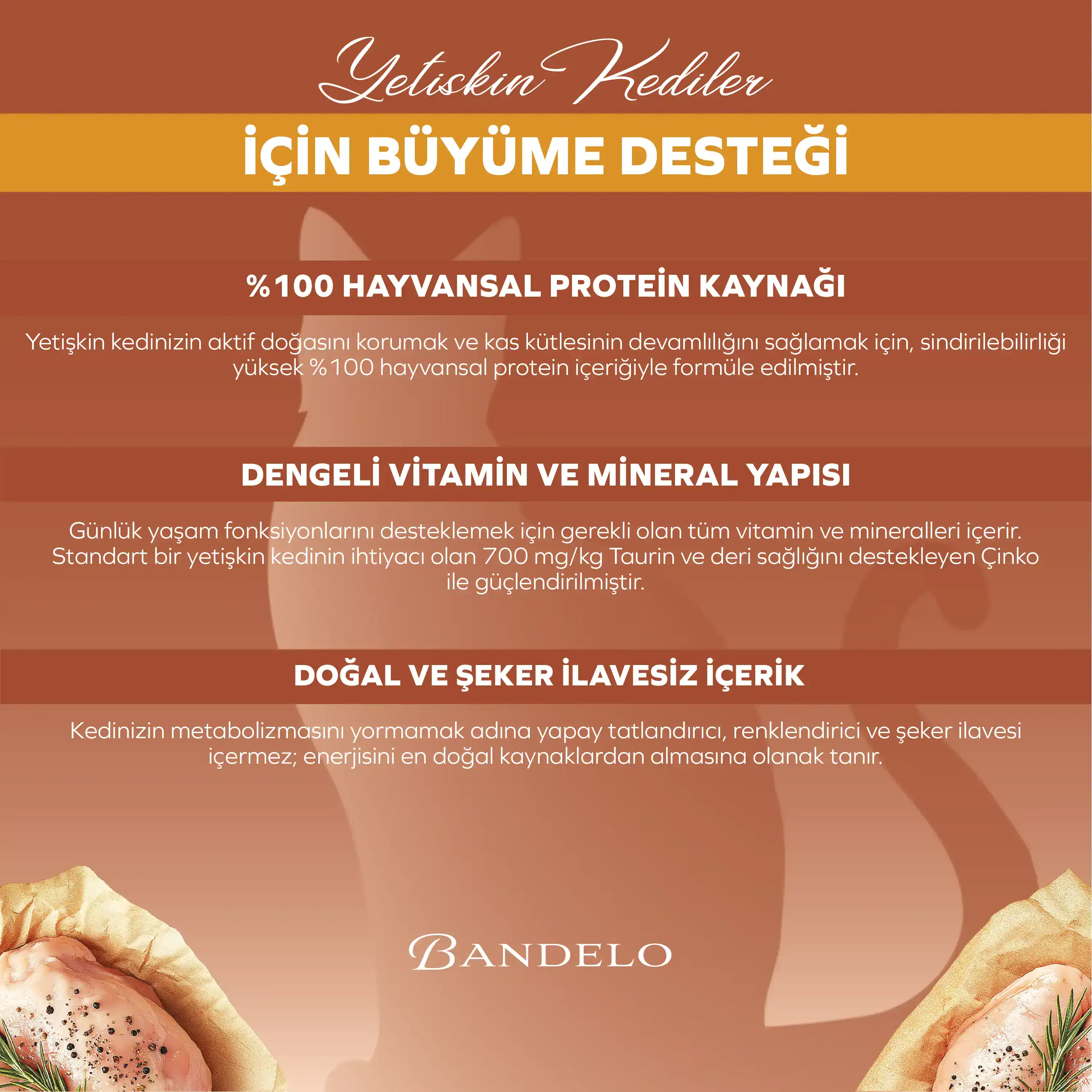 Bandelo Tavuklu Jöle Yetişkin Kedi Pouch 85 g