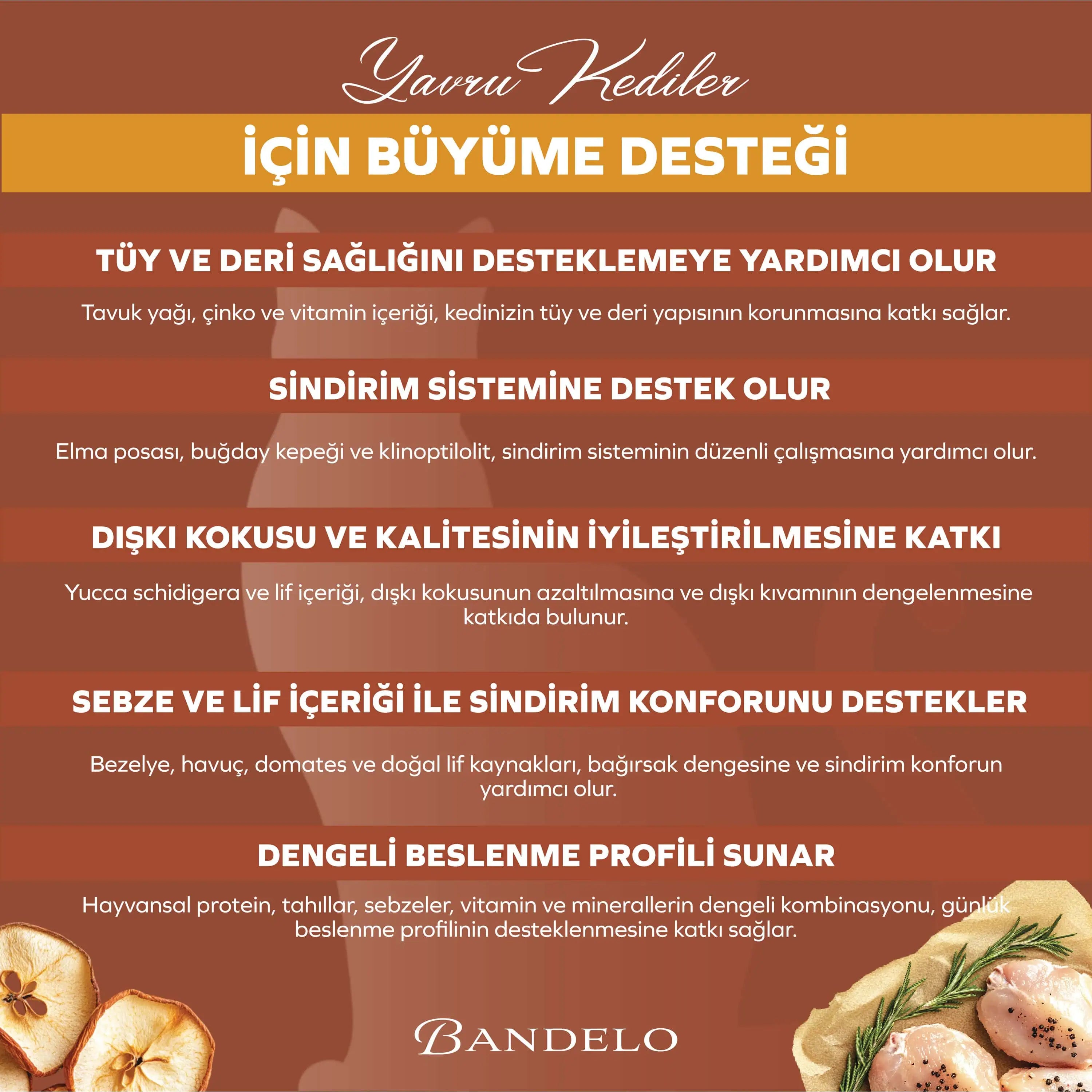 Bandelo Tavuklu Sebzeli Yetişkin Kuru Kedi Maması