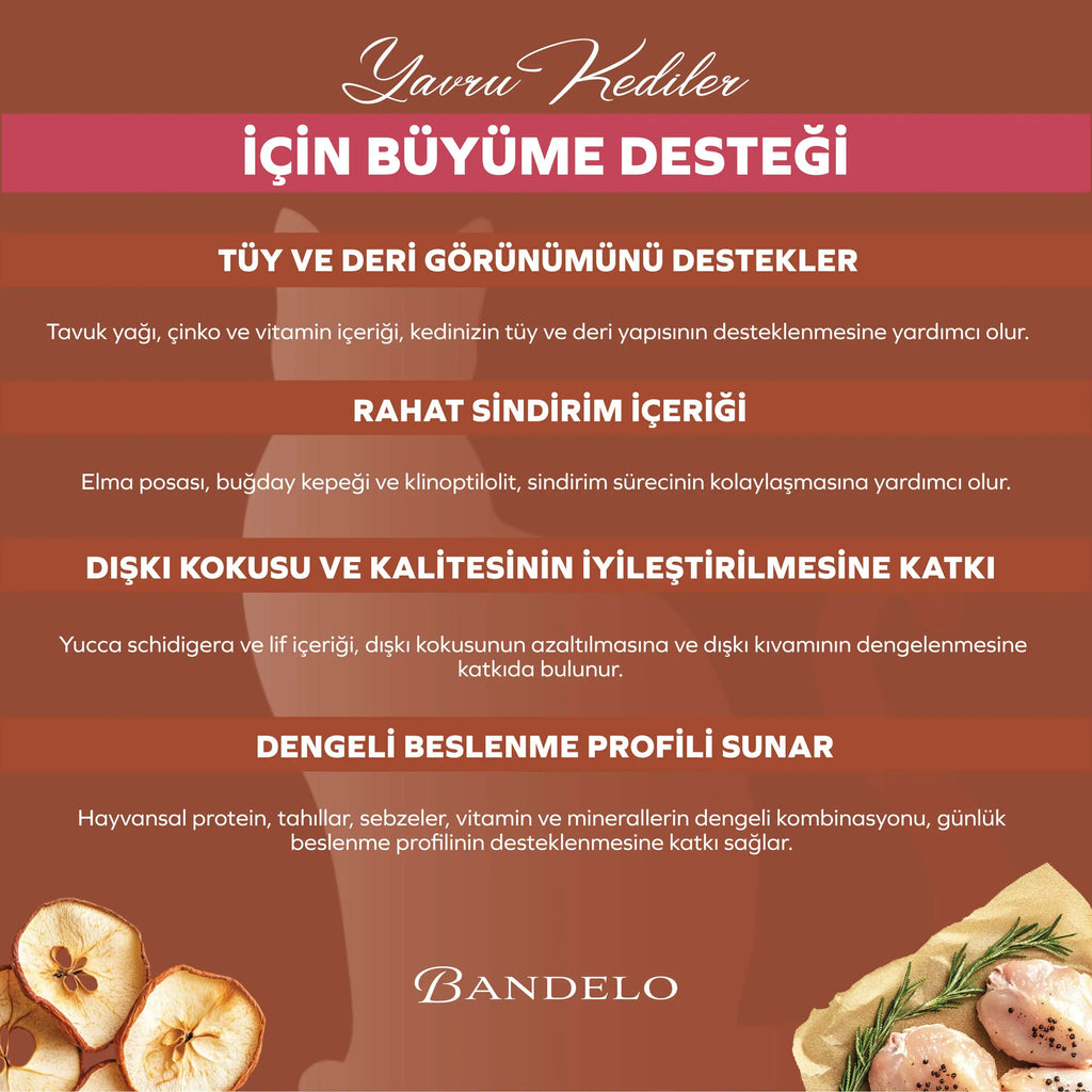 Bandelo Tavuklu Yavru Kuru Kedi Maması