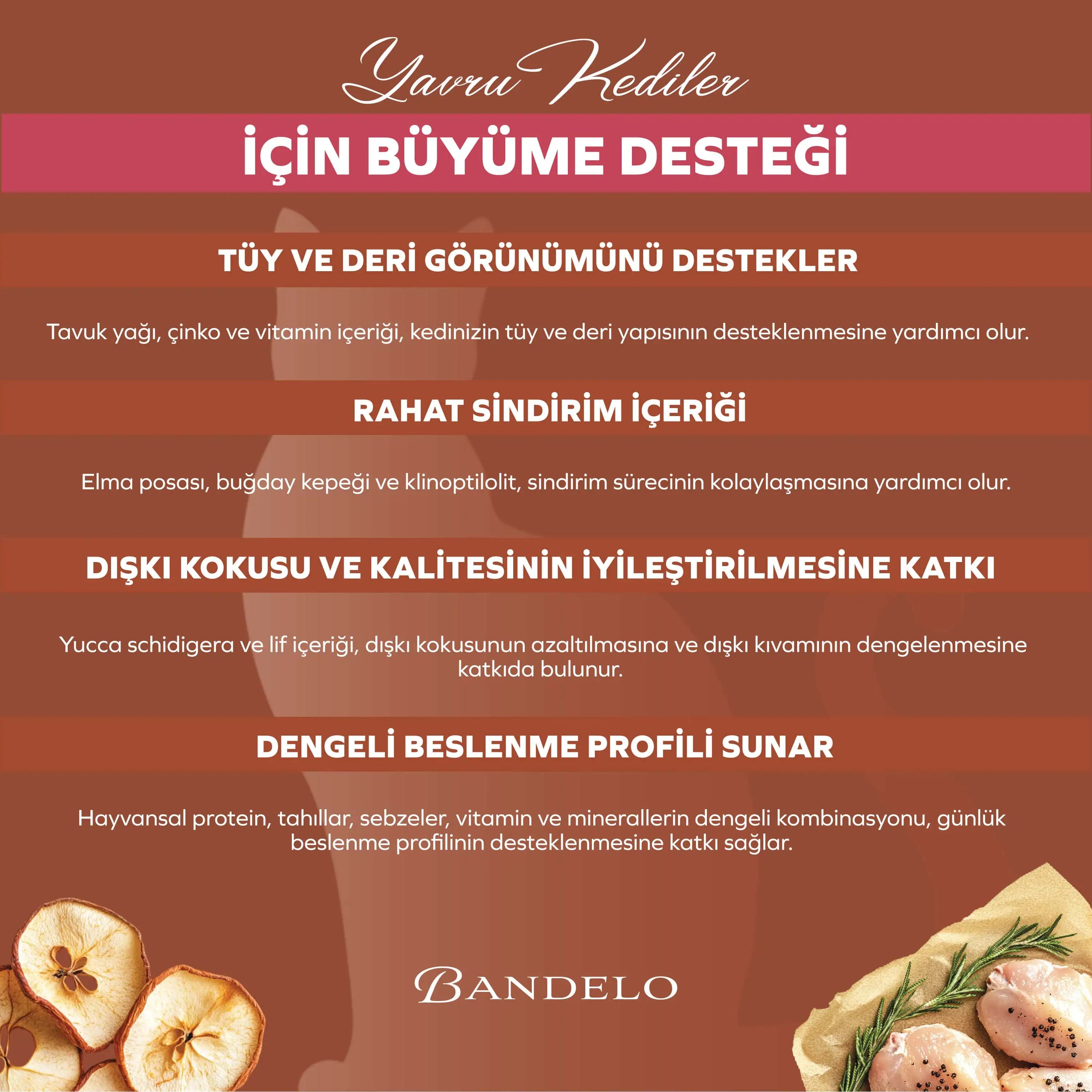Bandelo Tavuklu Yavru Kuru Kedi Maması