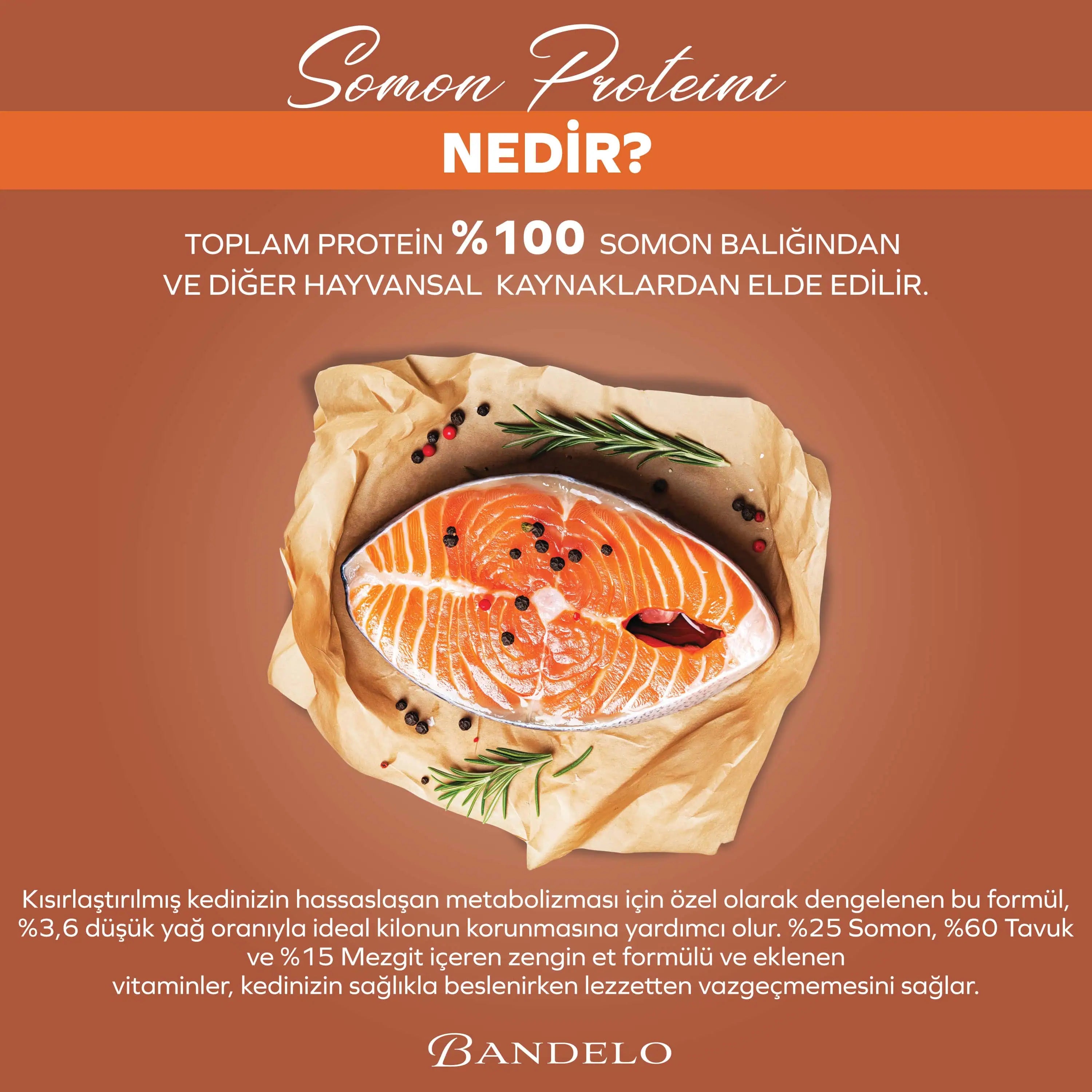 Bandelo Somonlu Kısırlaştırılmış Kedi Konservesi 400 g