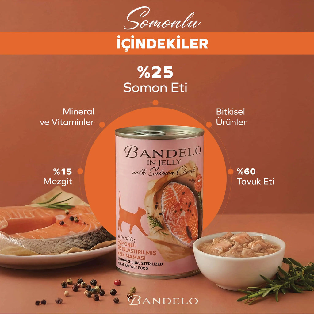 Bandelo Somonlu Kısırlaştırılmış Kedi Konservesi 400 g