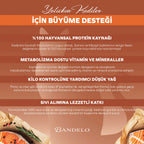 Bandelo Somonlu Kısırlaştırılmış Kedi Konservesi 400 g