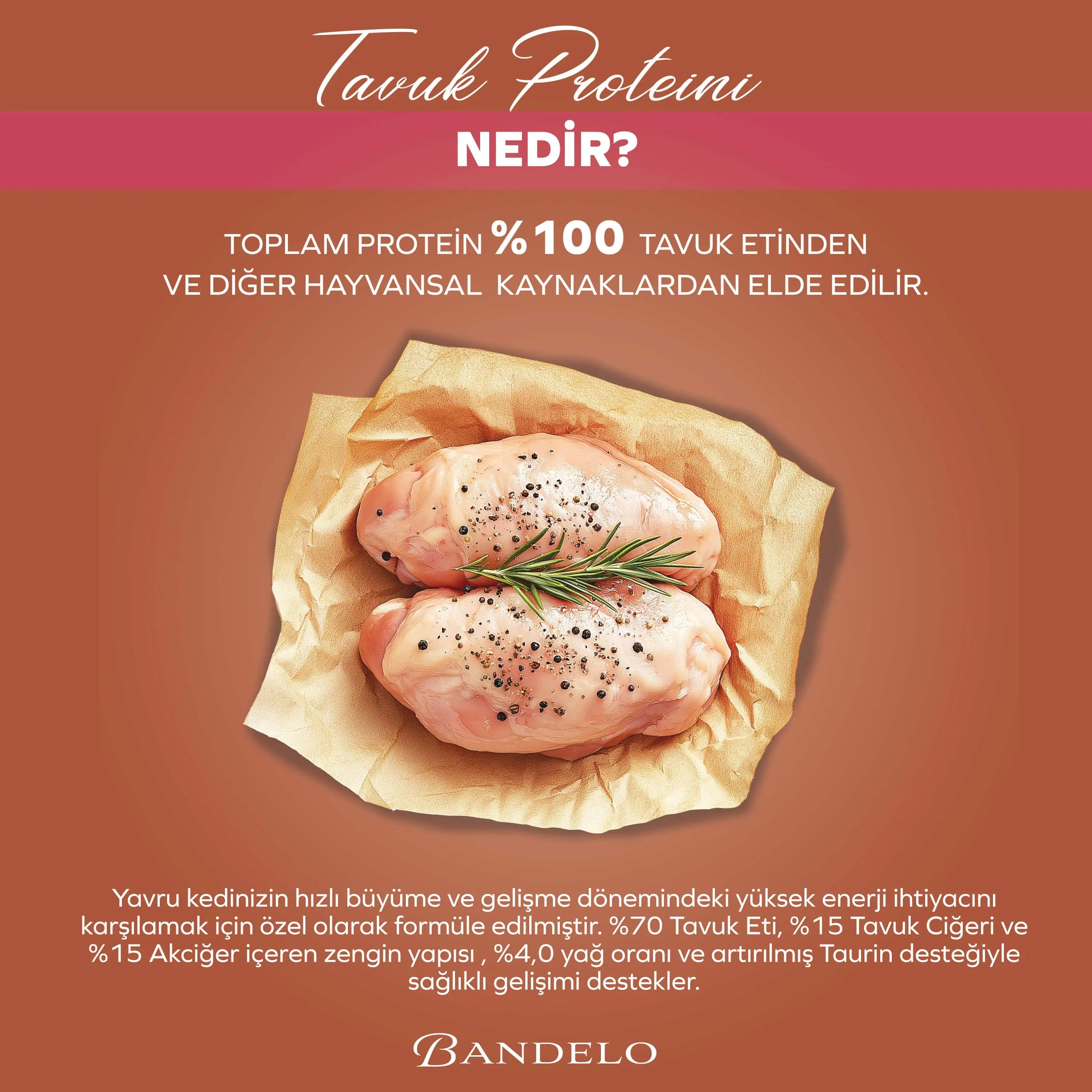 Bandelo Tavuklu Jöle Yavru Kedi Konservesi 400 g