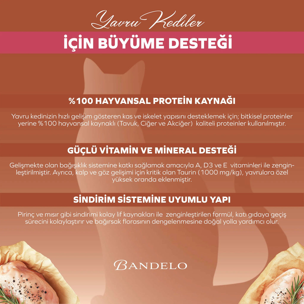 Bandelo Tavuklu Jöle Yavru Kedi Konservesi 400 g