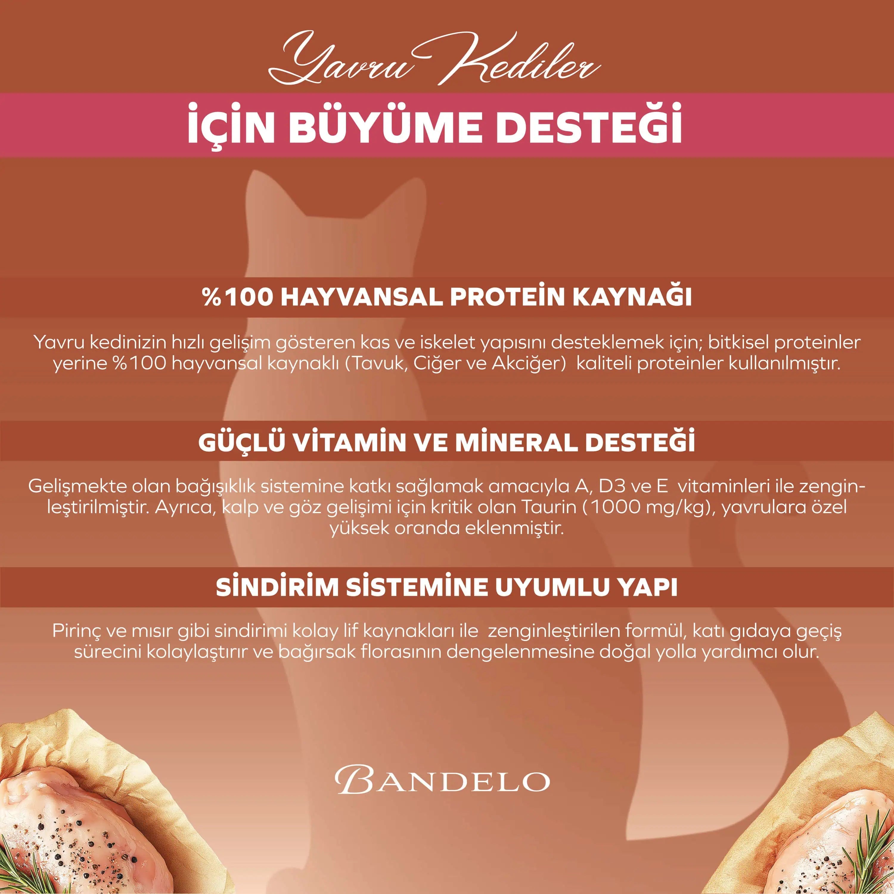 Bandelo Tavuklu Jöle Yavru Kedi Konservesi 400 g