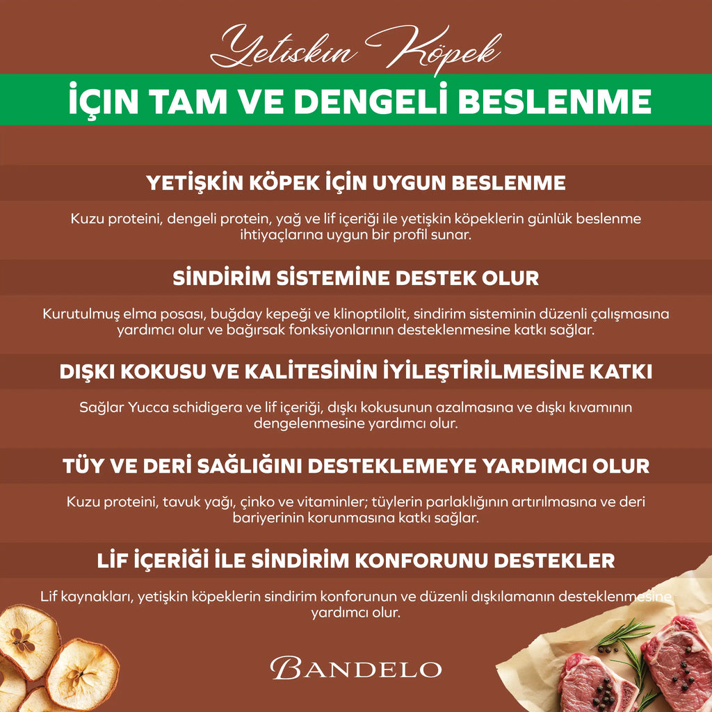 Bandelo Kuzu Etli Yetişkin Kuru Köpek Maması