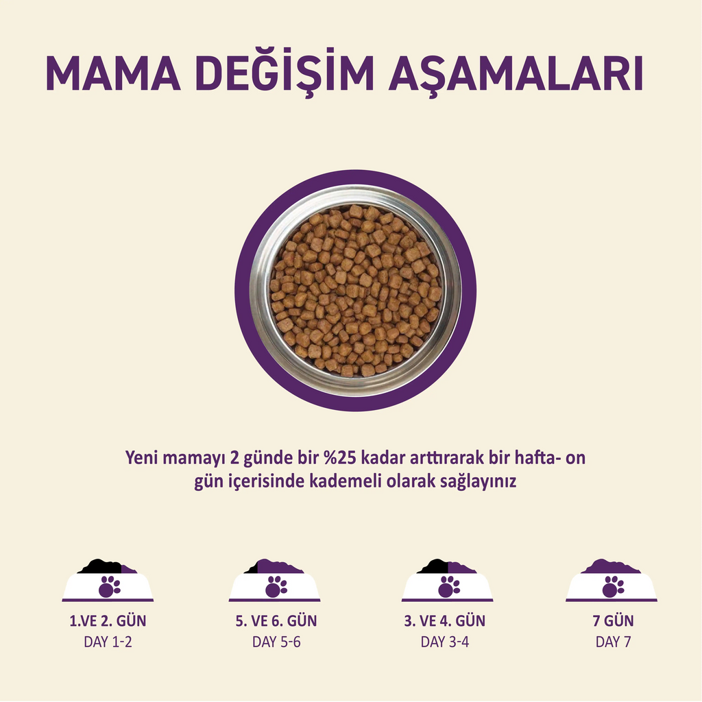 Petipure Kuzu Etli Yetişkin Kuru Köpek Maması