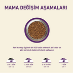 Petipure Kuzu Etli Yetişkin Kuru Köpek Maması