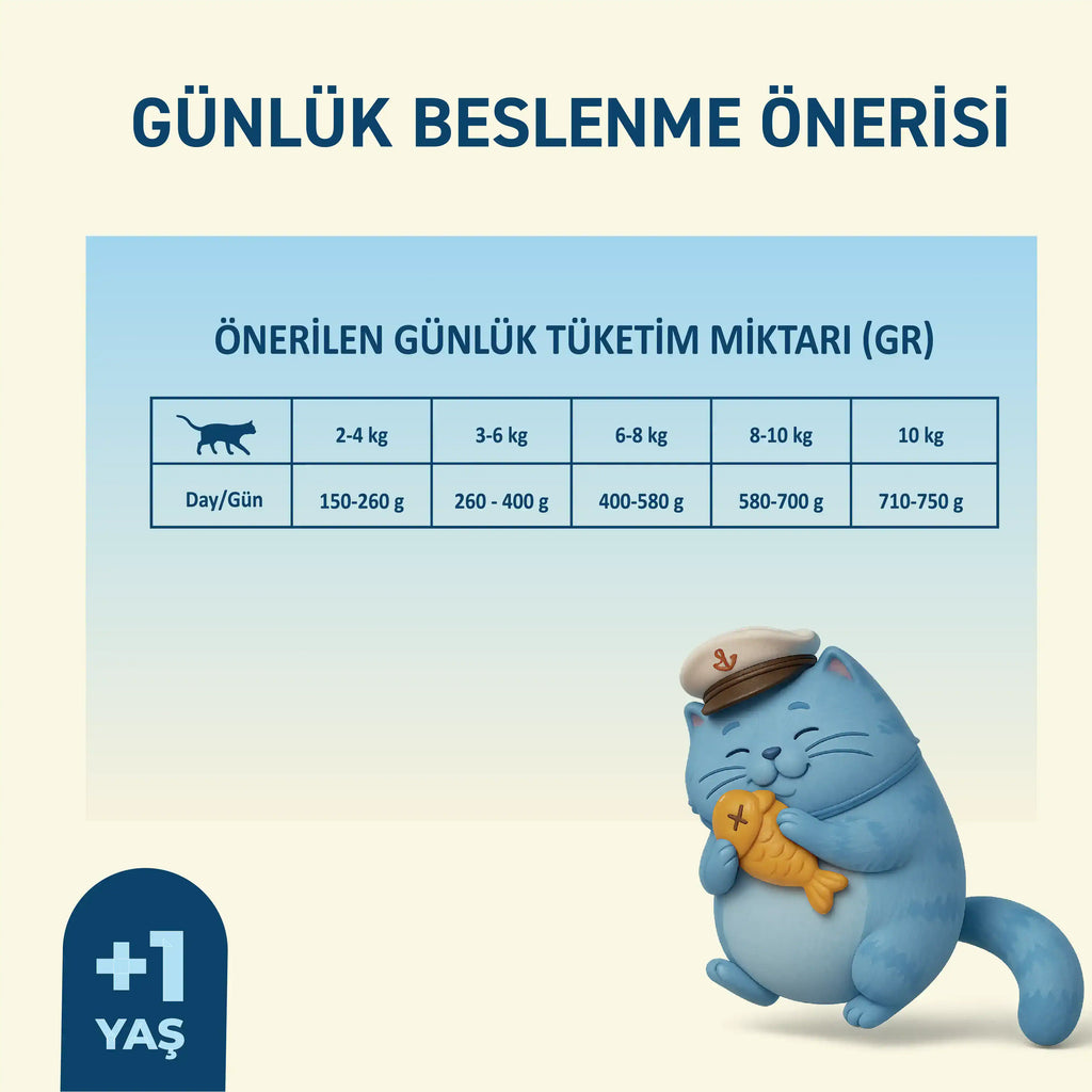 Petipure Somonlu Jöle Yetişkin Kedi Konservesi 400 g