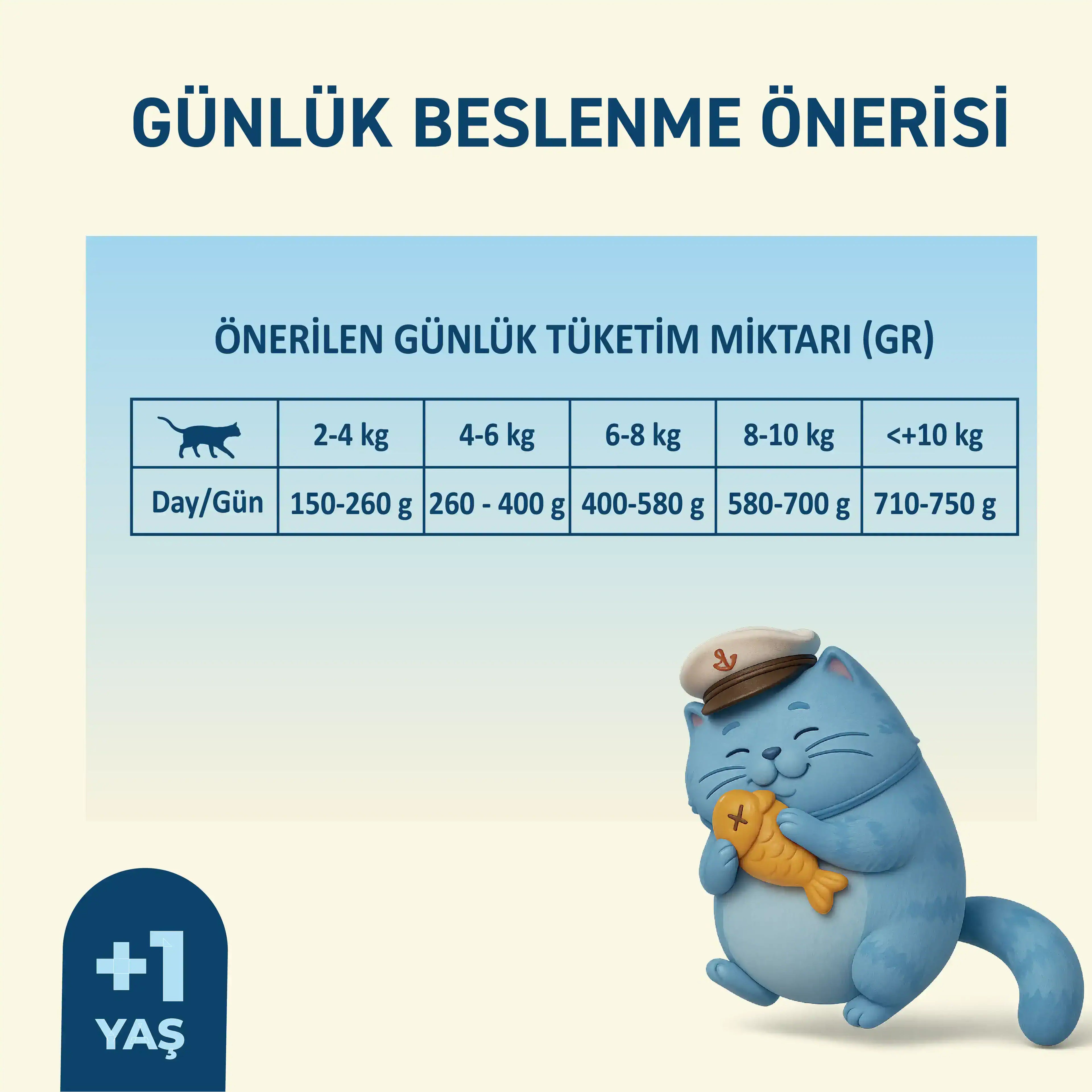 Petipure Somonlu Jöle Yetişkin Kedi Pouch 85 g