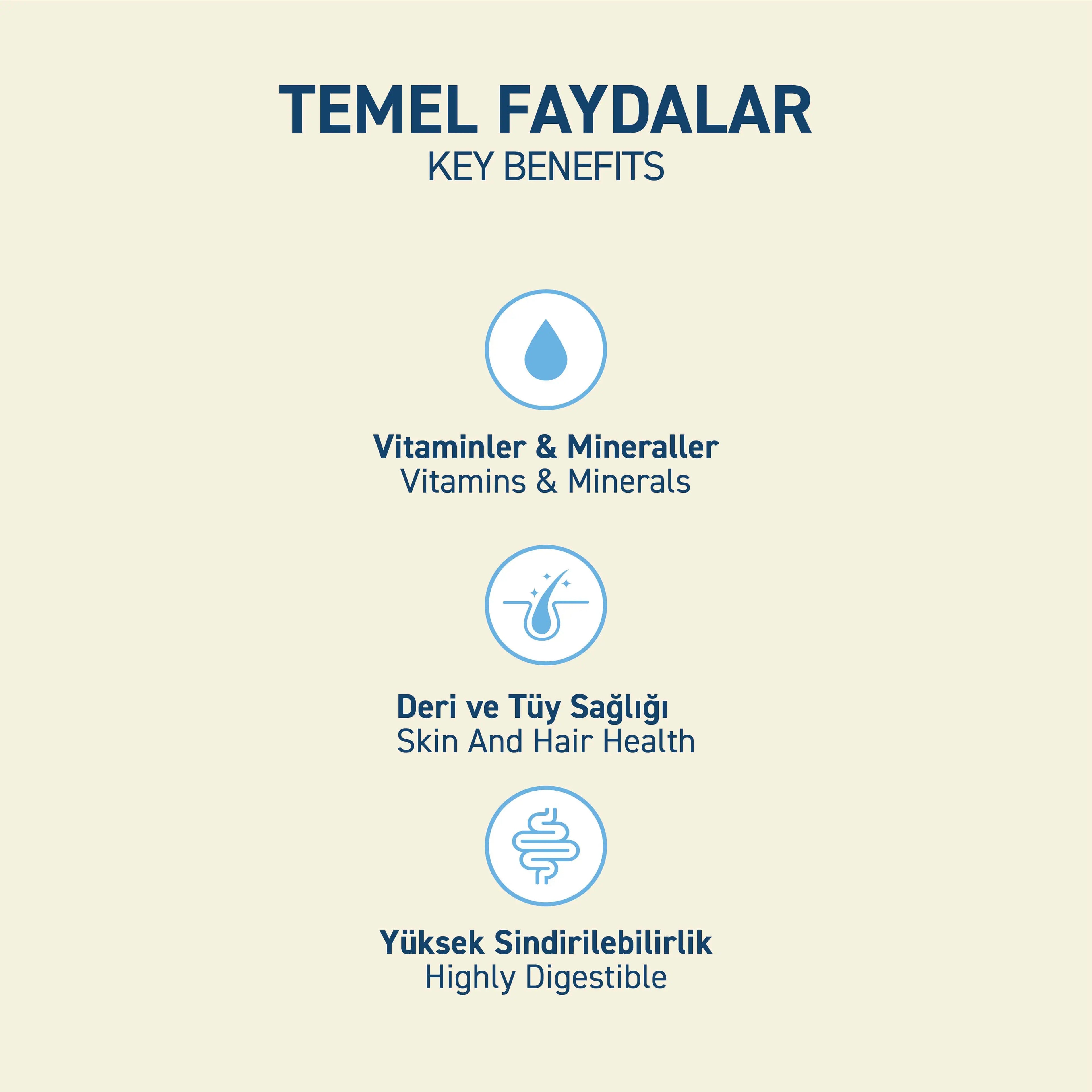 Petipure Somonlu Yetişkin Kuru Kedi Maması
