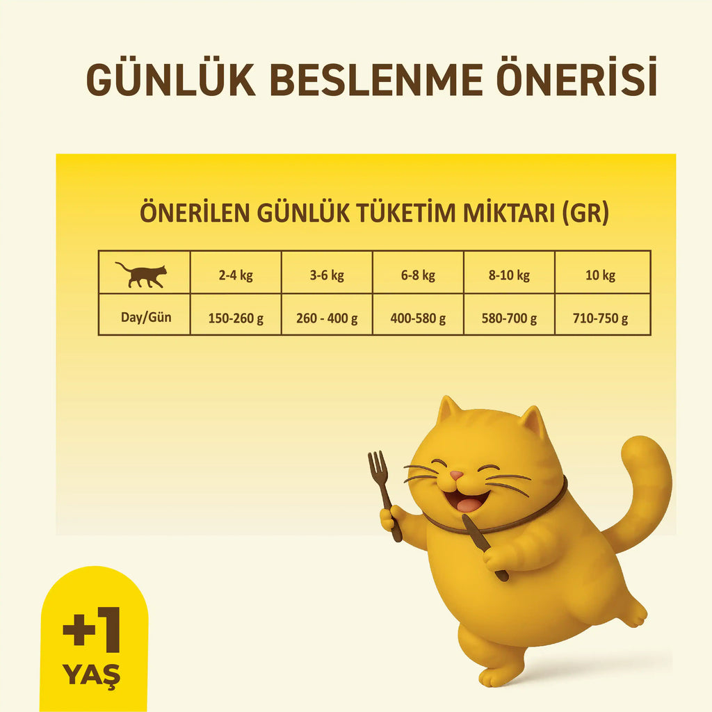 Petipure Tavuklu Jöle Yetişkin Kedi Konservesi 400 g