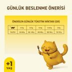 Petipure Tavuklu Jöle Yetişkin Kedi Pouch 85 g