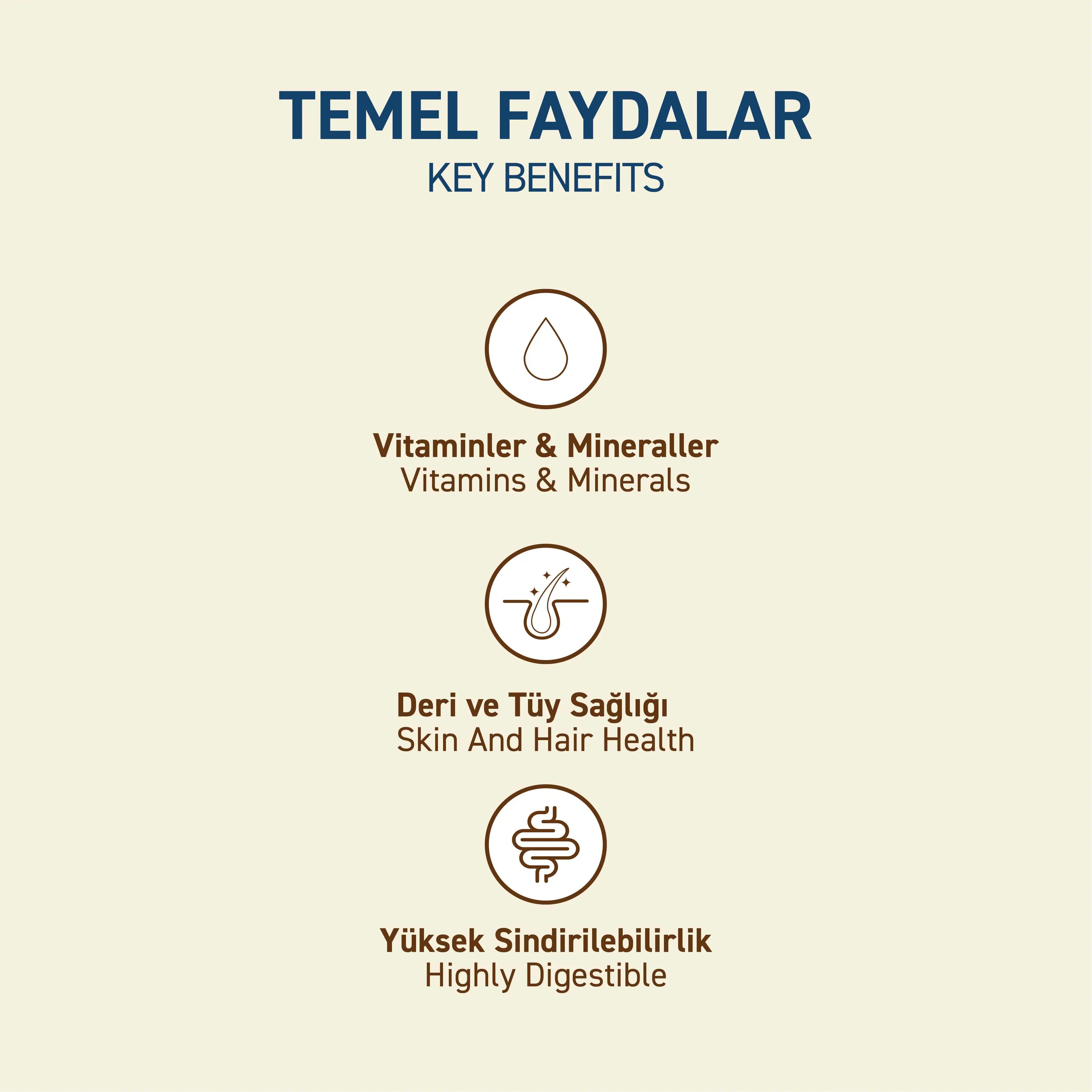 Petipure Tavuklu Yetişkin Kuru Kedi Maması