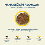 Petipure Tavuklu Yetişkin Kuru Kedi Maması