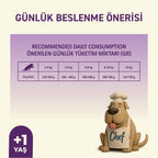 Petipure Kuzu Etli Yetişkin Köpek Konservesi 400 g