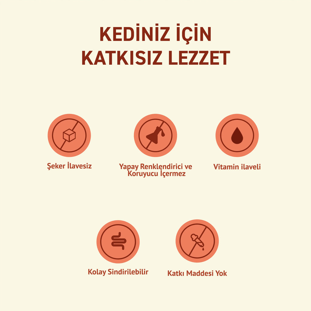 Petipure Sığır Etli Yavru Köpek Konservesi 400 g