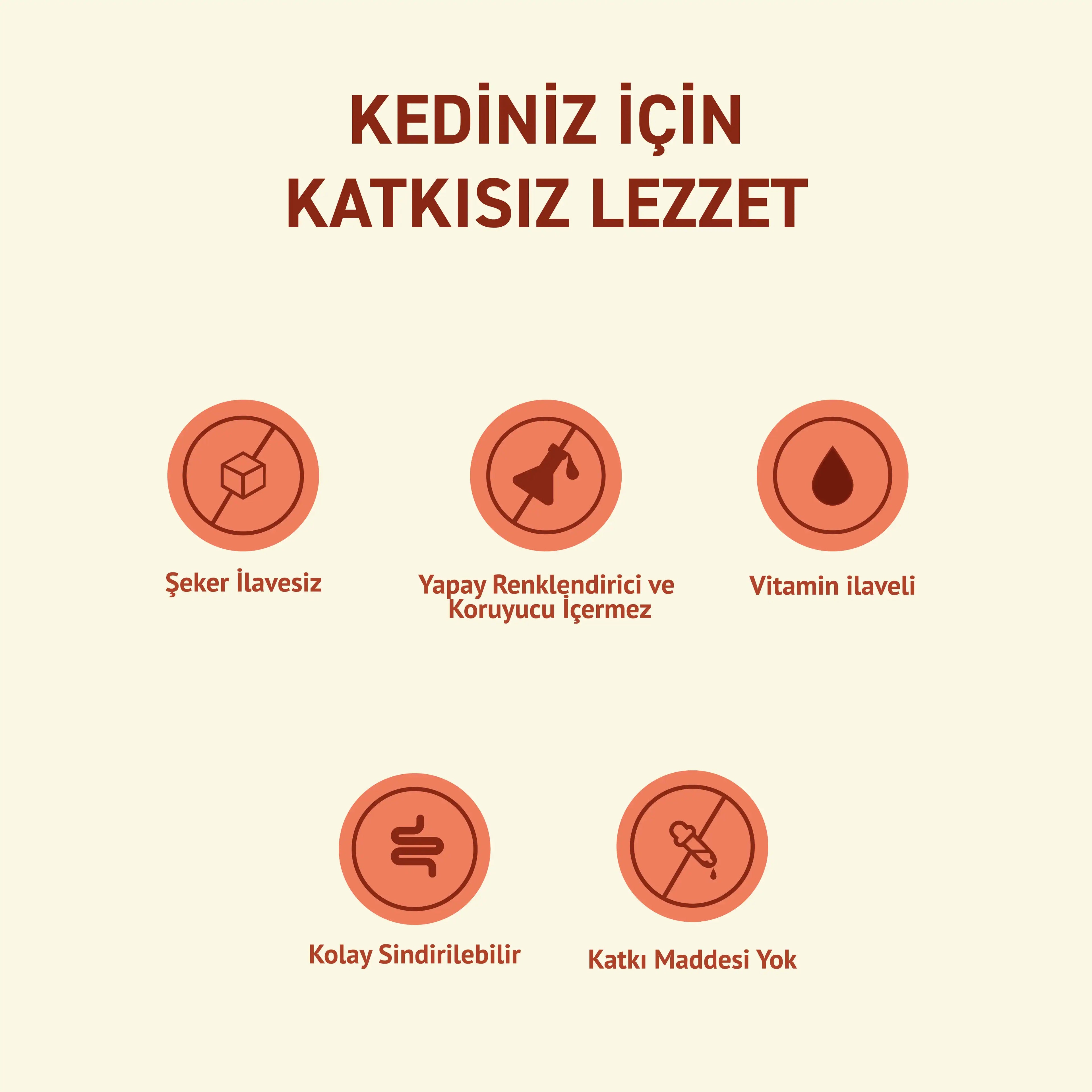 Petipure Sığır Etli Yavru Köpek Konservesi 400 g