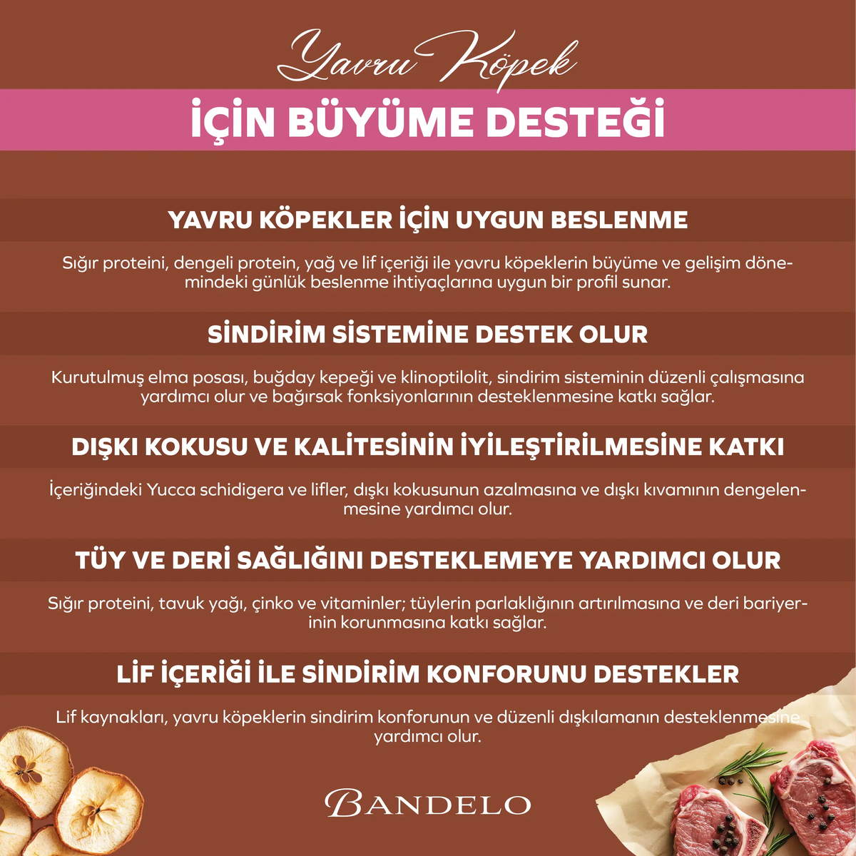 Bandelo Sığır Etli Yavru Kuru Köpek Maması