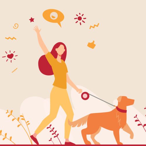 Mama Seçimi Kafa Karıştırmak Zorunda Değil — Petaşk Size Güvenle Yol Gösterir