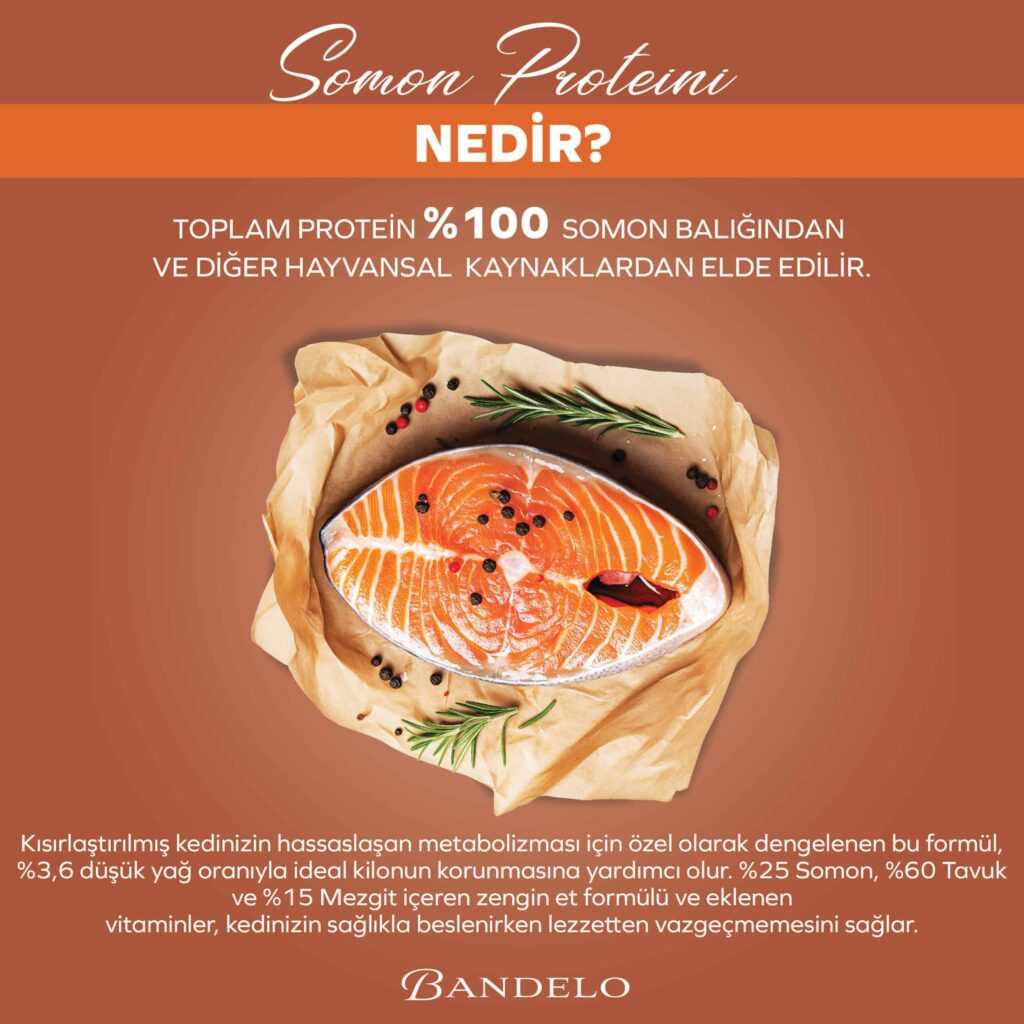 BandeloSomonluKısırlaştırılmışYaşKediMamasıYetişkinKonserve400gr001
