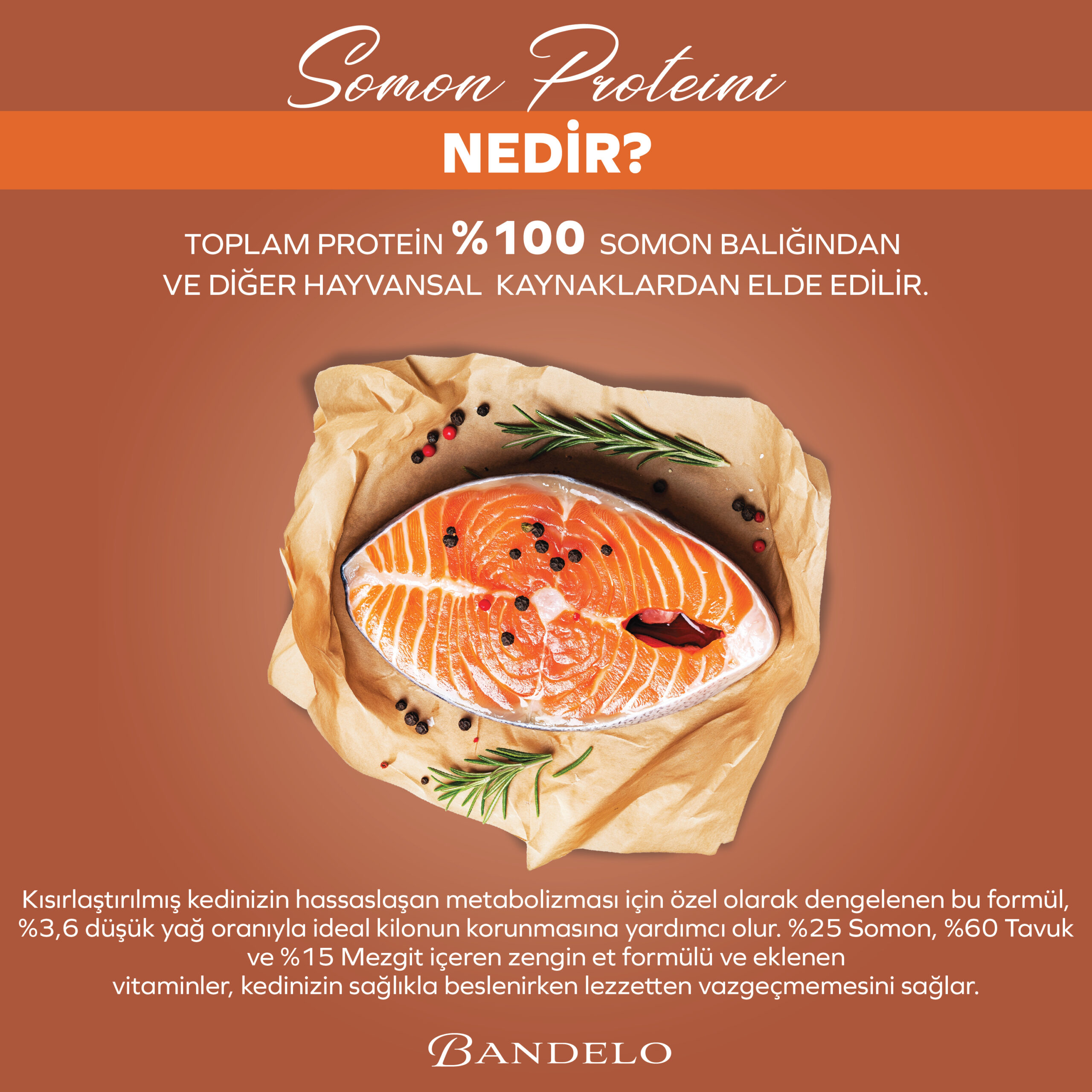 BandeloSomonluKısırlaştırılmışYaşKediMamasıYetişkinKonserve400gr001