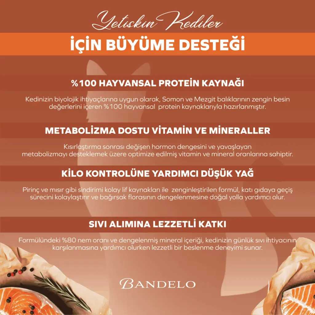 BandeloSomonluKısırlaştırılmışYaşKediMamasıYetişkinKonserve400gr005