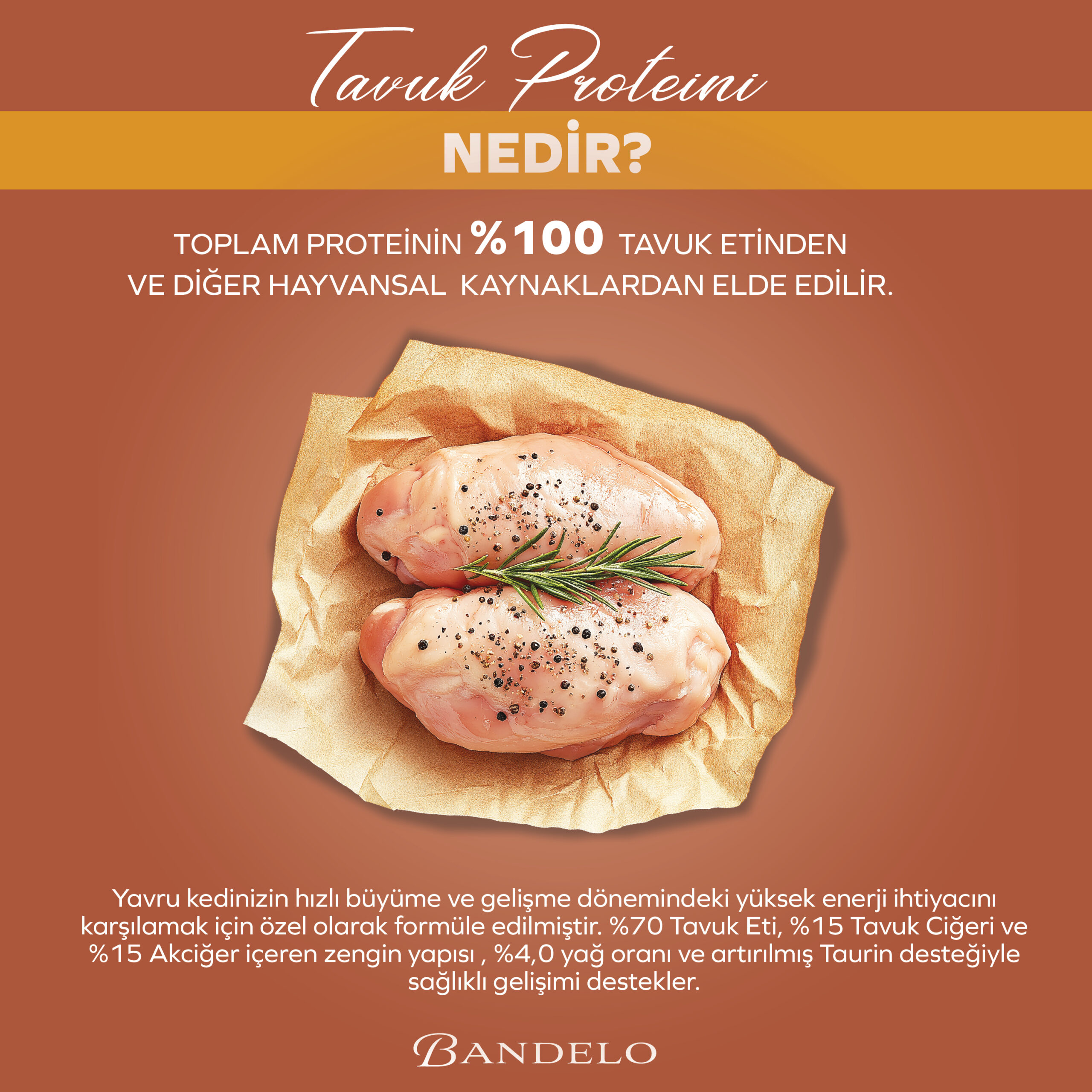 BandeloTavukluYaşKediMamasıYetişkin85Gram001