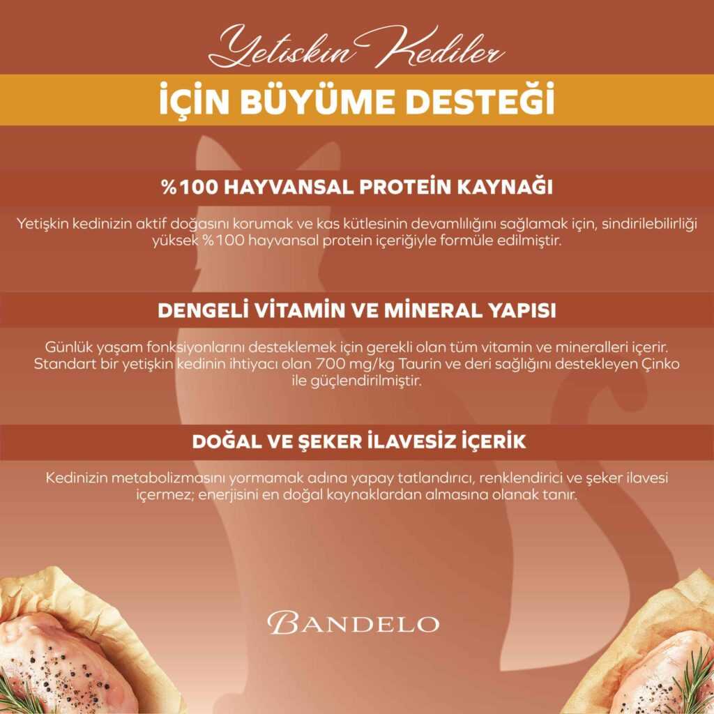 BandeloTavukluYaşKediMamasıYetişkin85Gram004