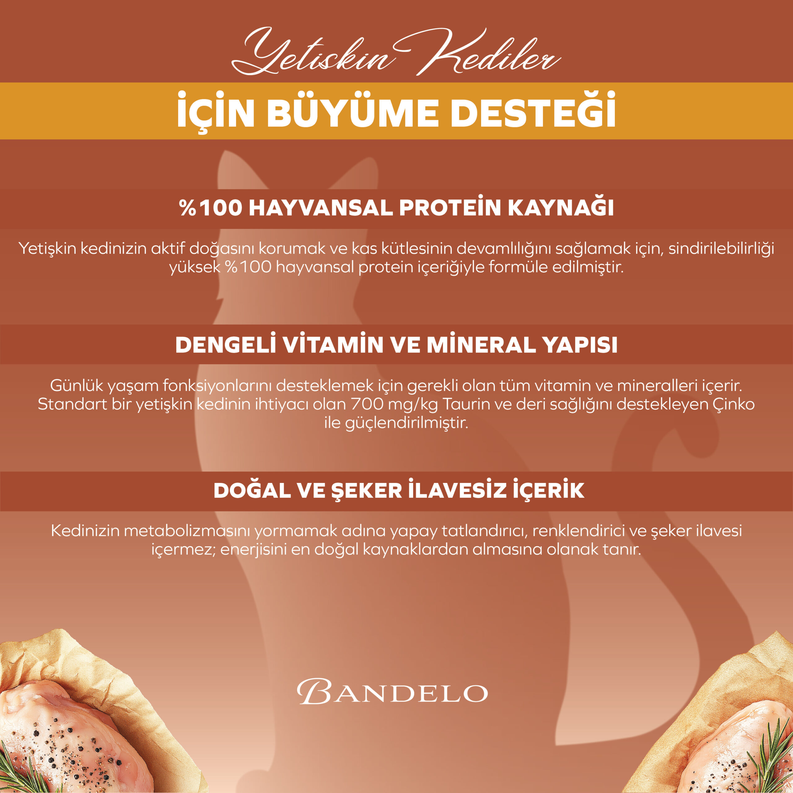 BandeloTavukluYaşKediMamasıYetişkin85Gram004