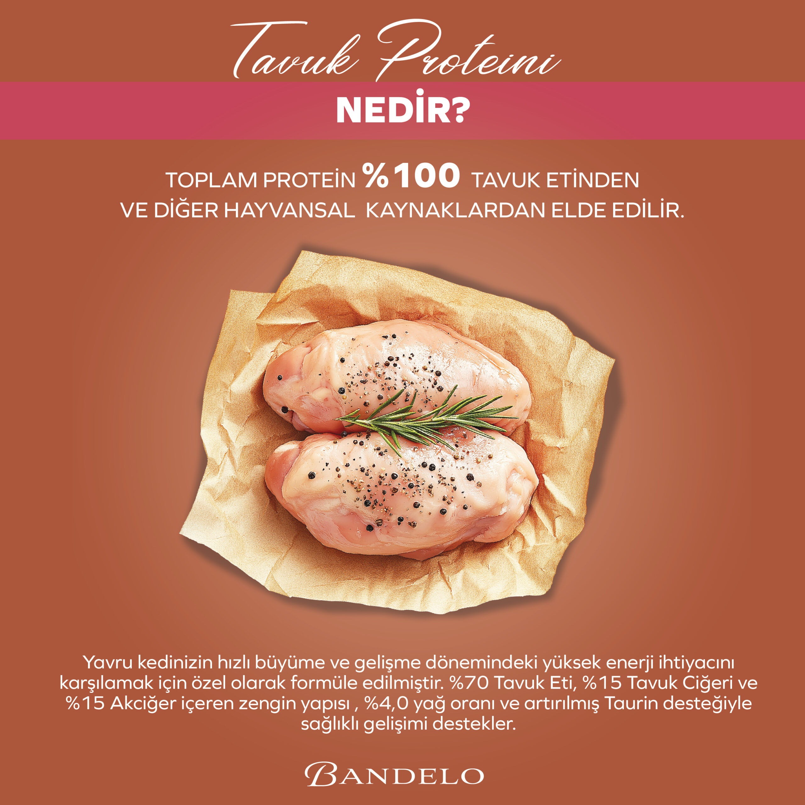 BandeloTavukluYavruYaşKediMaması400Gram001