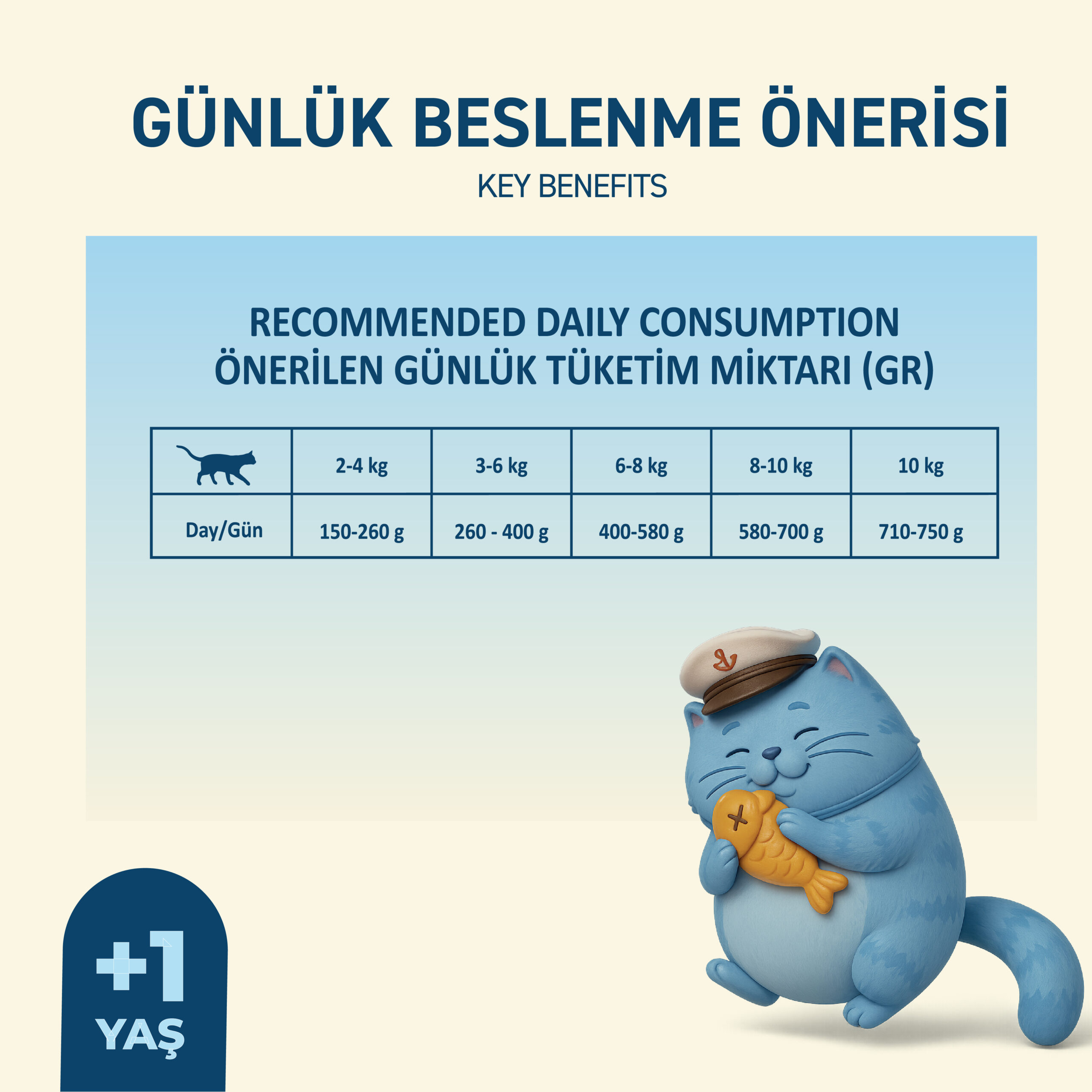PetipureSomonluYaşKediMaması400Gram005