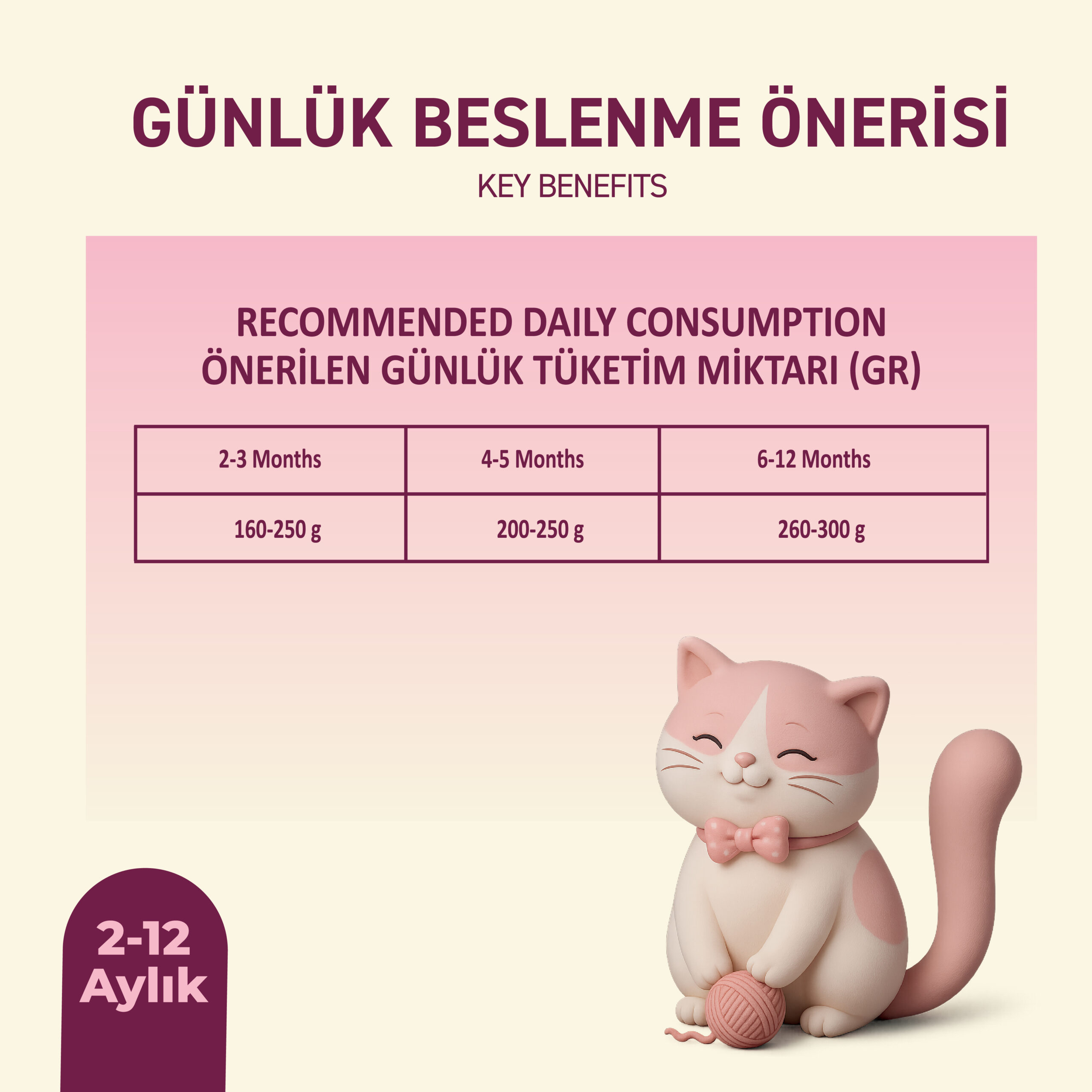 PetipureTavukluYavruYaşKediMaması400gr005