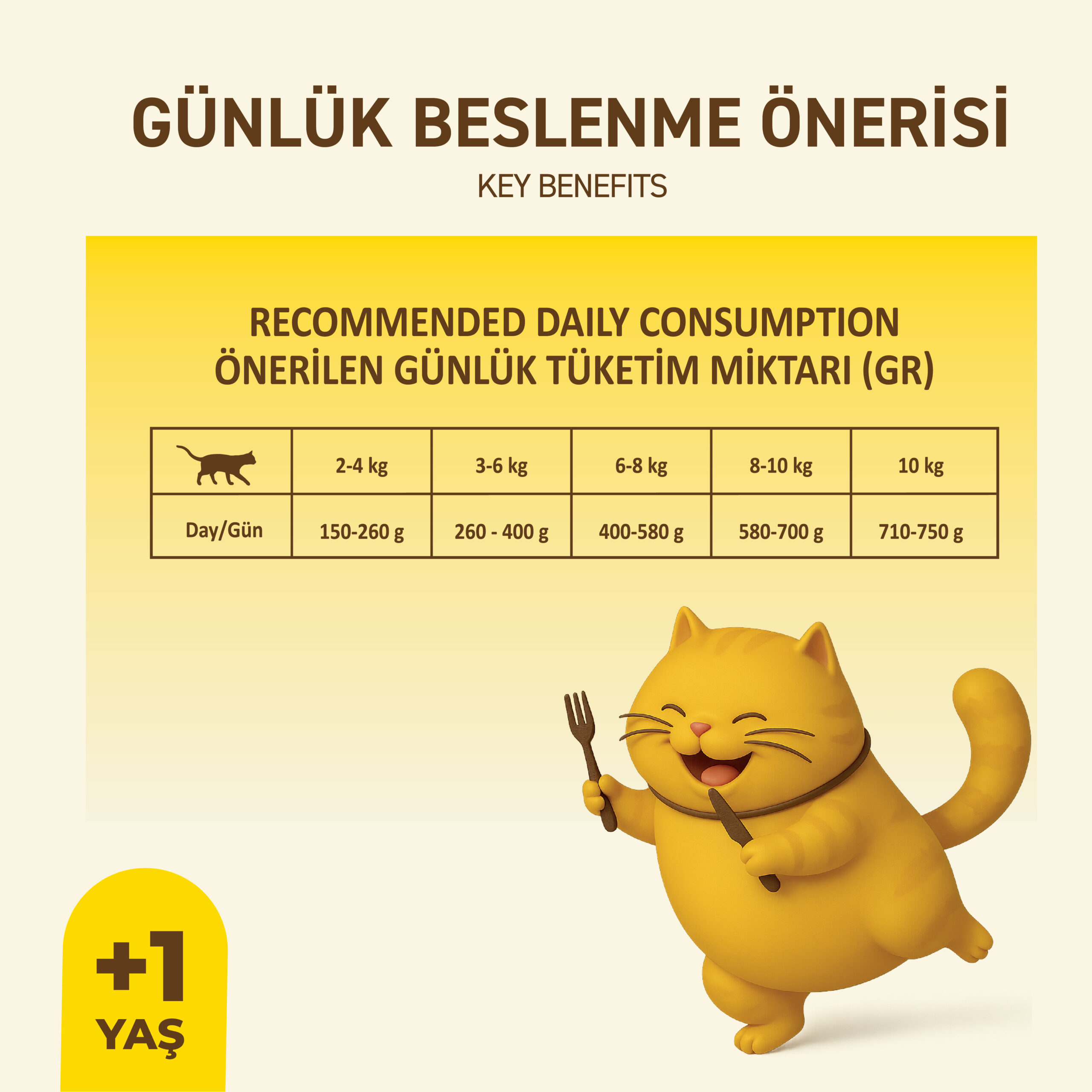 PetipureYaşKediMamasıTavuklu400Gram12Adet005