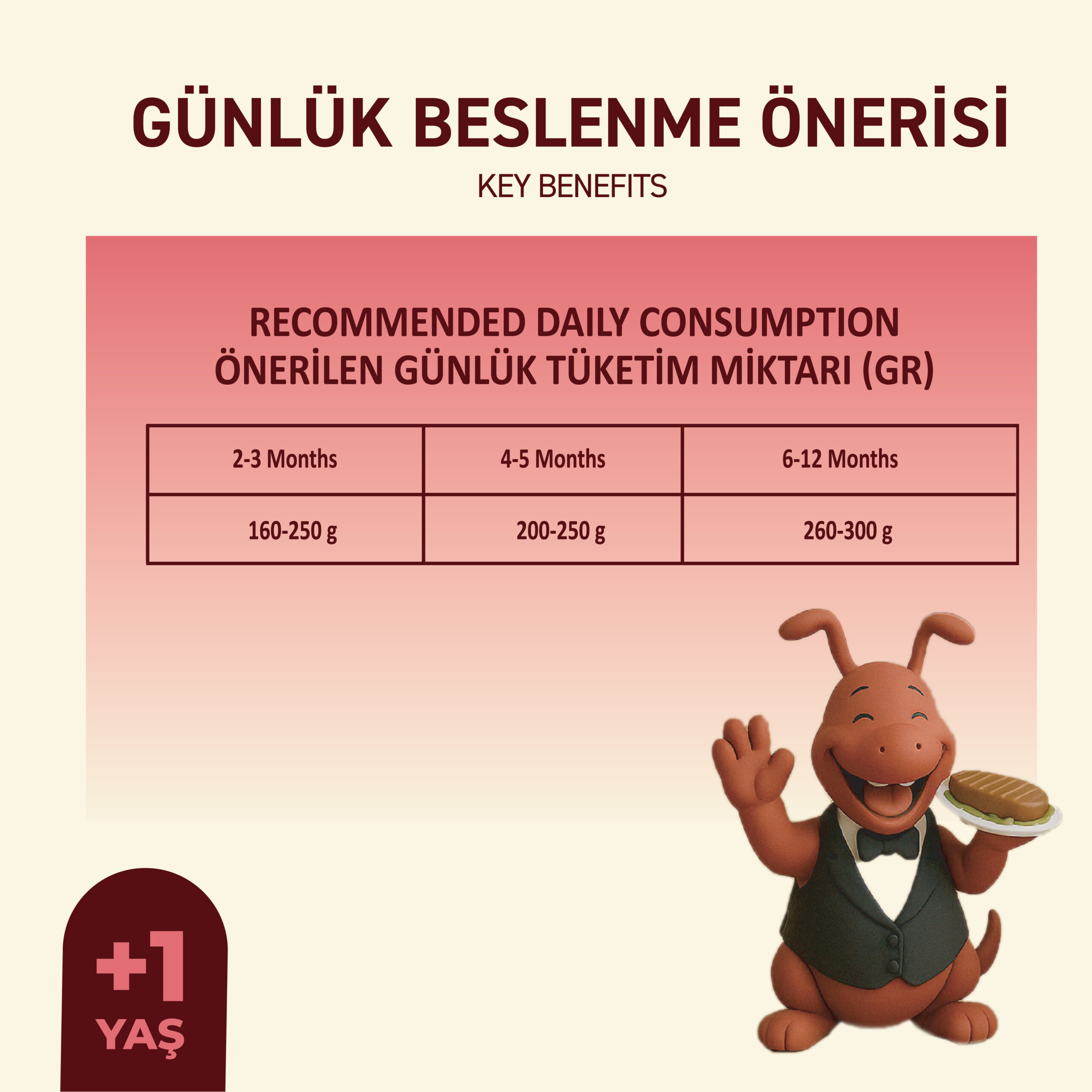 PetipureYavruSığırEtliYaşKöpekMaması400Gram005