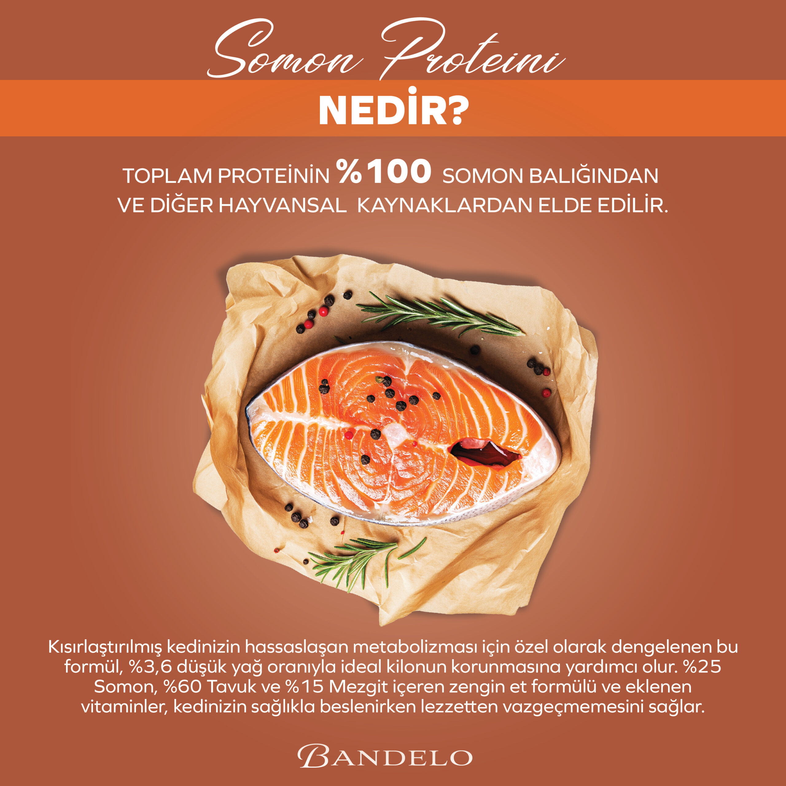 Yaş Kedi Maması Bandelo Somonlu Kısırlaştırılmış Pouch