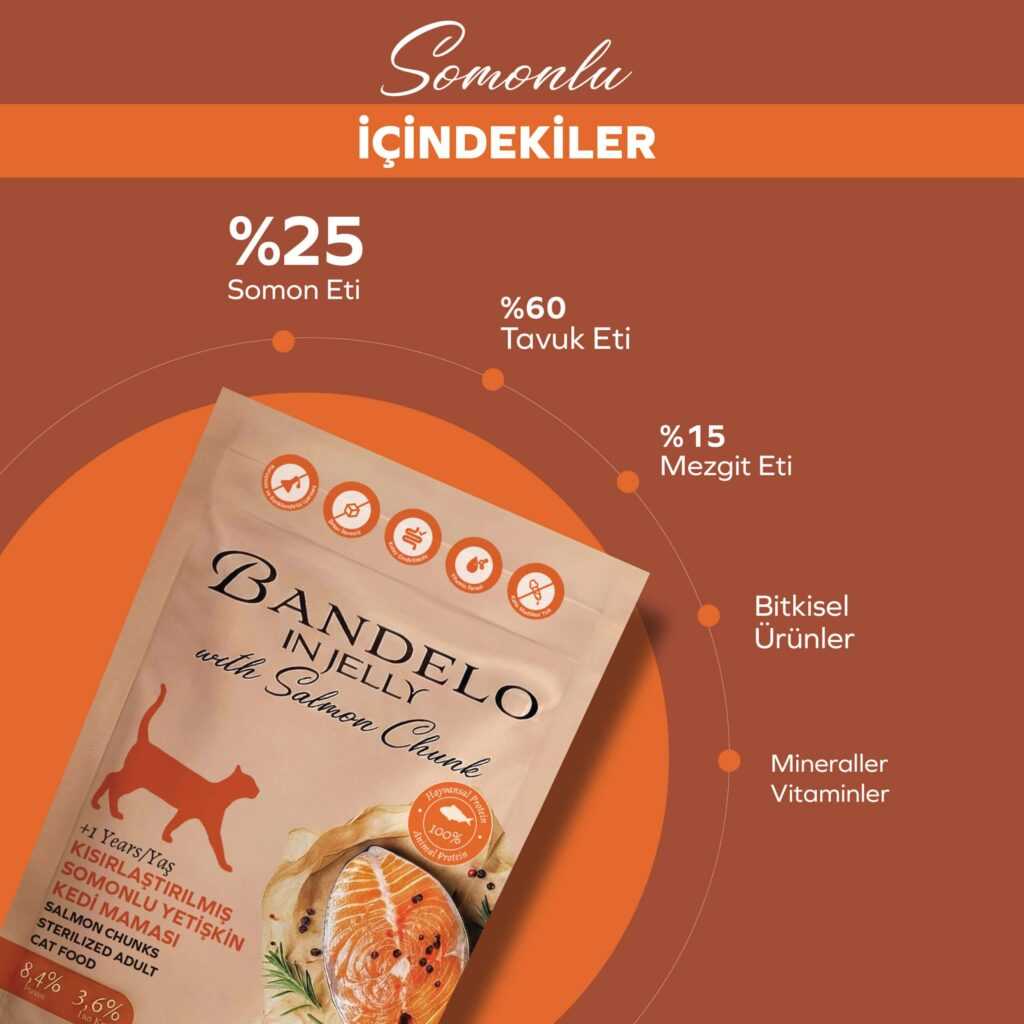Yaş Kedi Maması Bandelo Somonlu Kısırlaştırılmış Pouch