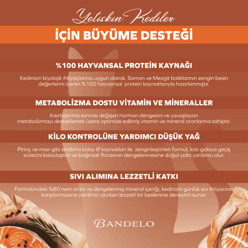 Yaş Kedi Maması Bandelo Somonlu Kısırlaştırılmış Pouch