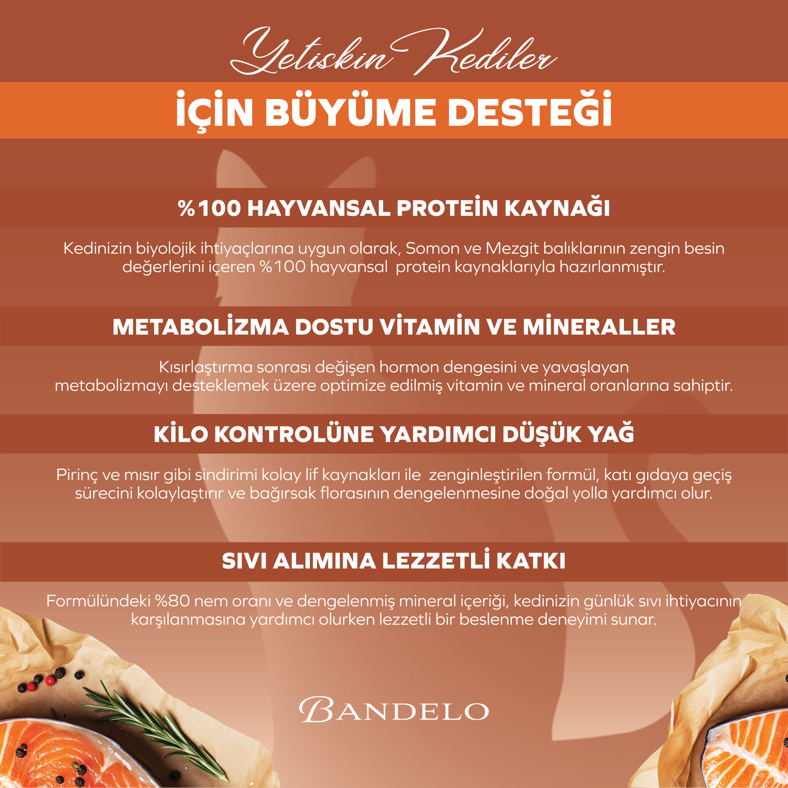 Yaş Kedi Maması Bandelo Somonlu Kısırlaştırılmış Pouch