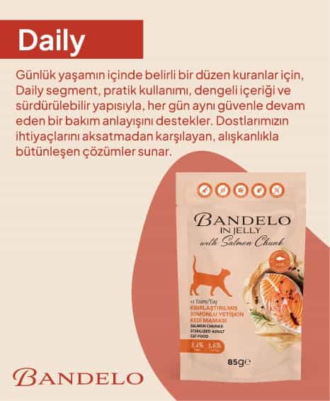 Petask Daily köpek ve kedi ödüllü jöleli mama paketi.