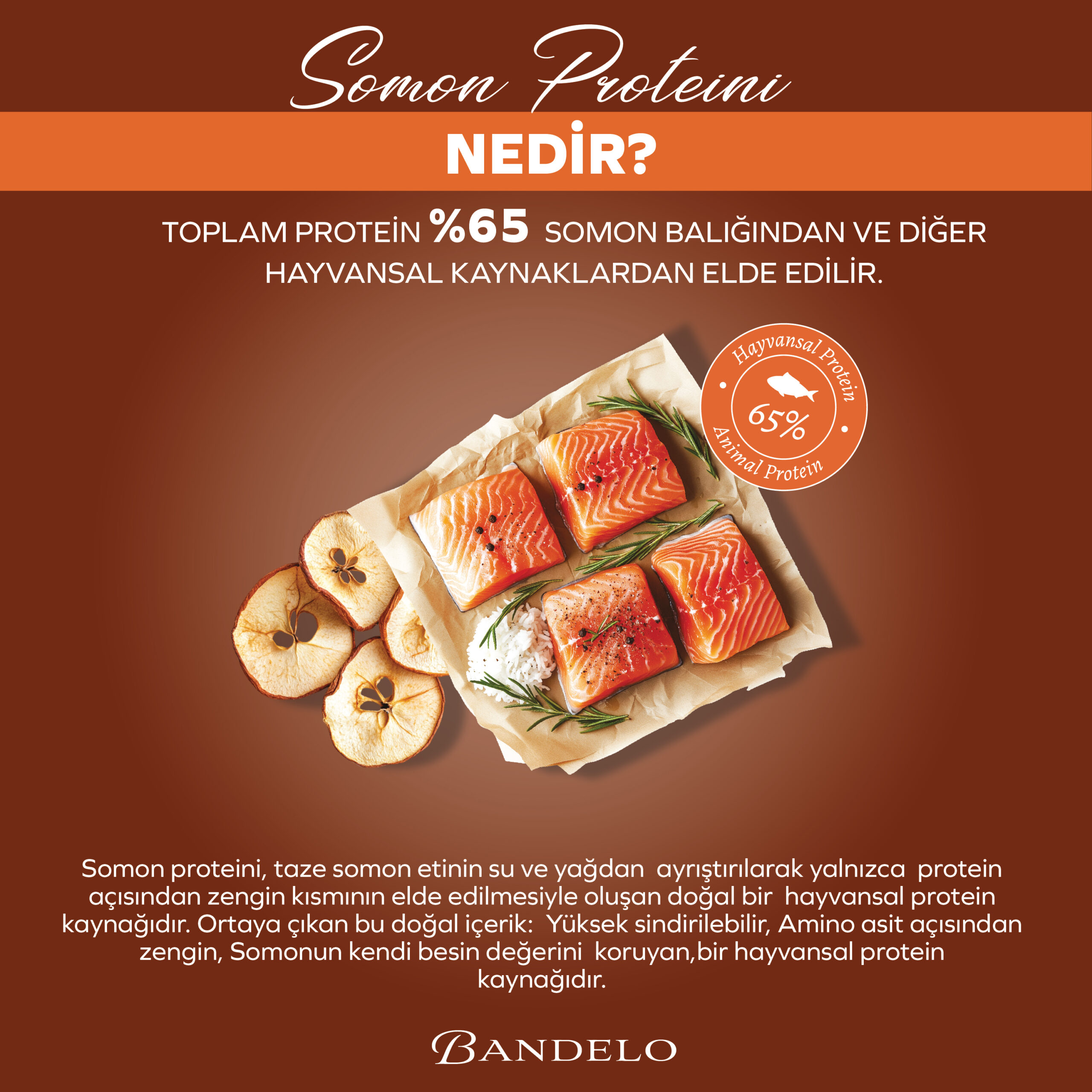 BandeloSomonluKısırlaştırılmışYetişkinKuruKediMaması2KG_KiloKontrolüDengeleyi002