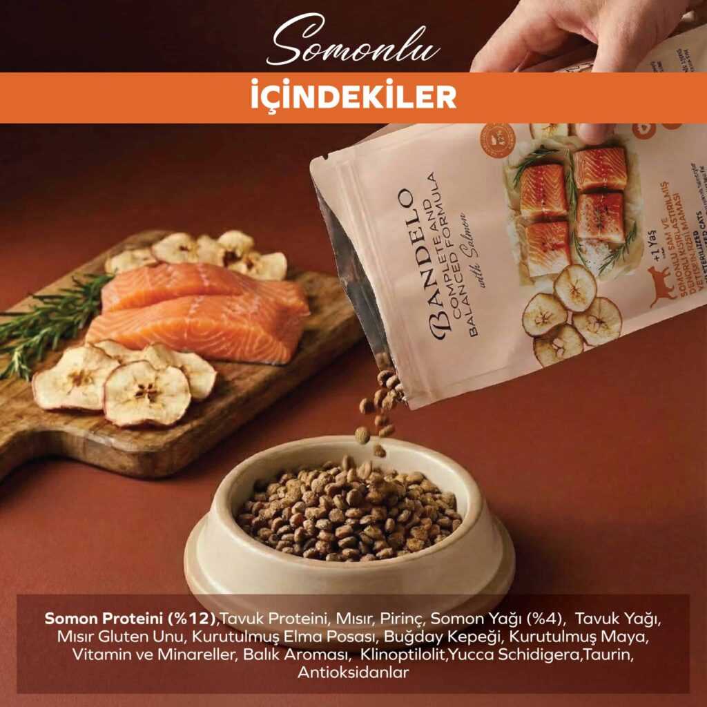 BandeloSomonluKısırlaştırılmışYetişkinKuruKediMaması2KG_KiloKontrolüDengeleyi004